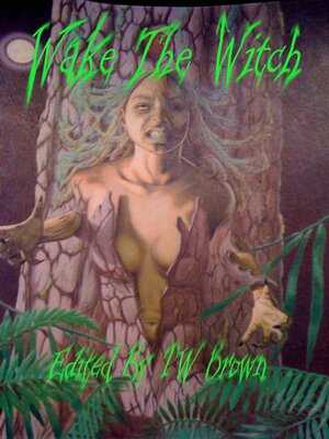 cover image of Wake the Witch